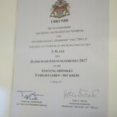 3. Platz des Hamburger Stiftungspreises 2017